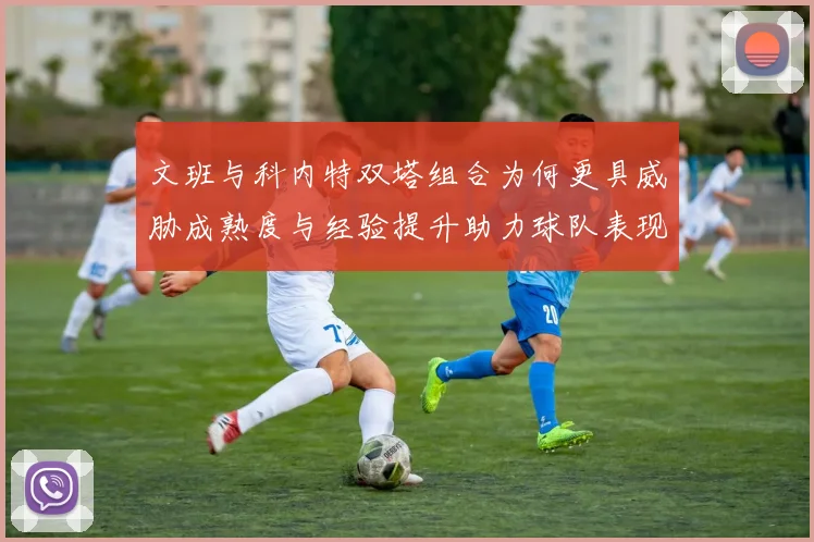 文班与科内特双塔组合为何更具威胁成熟度与经验提升助力球队表现